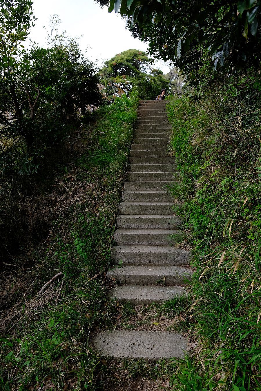 b0212342_11421224.jpg