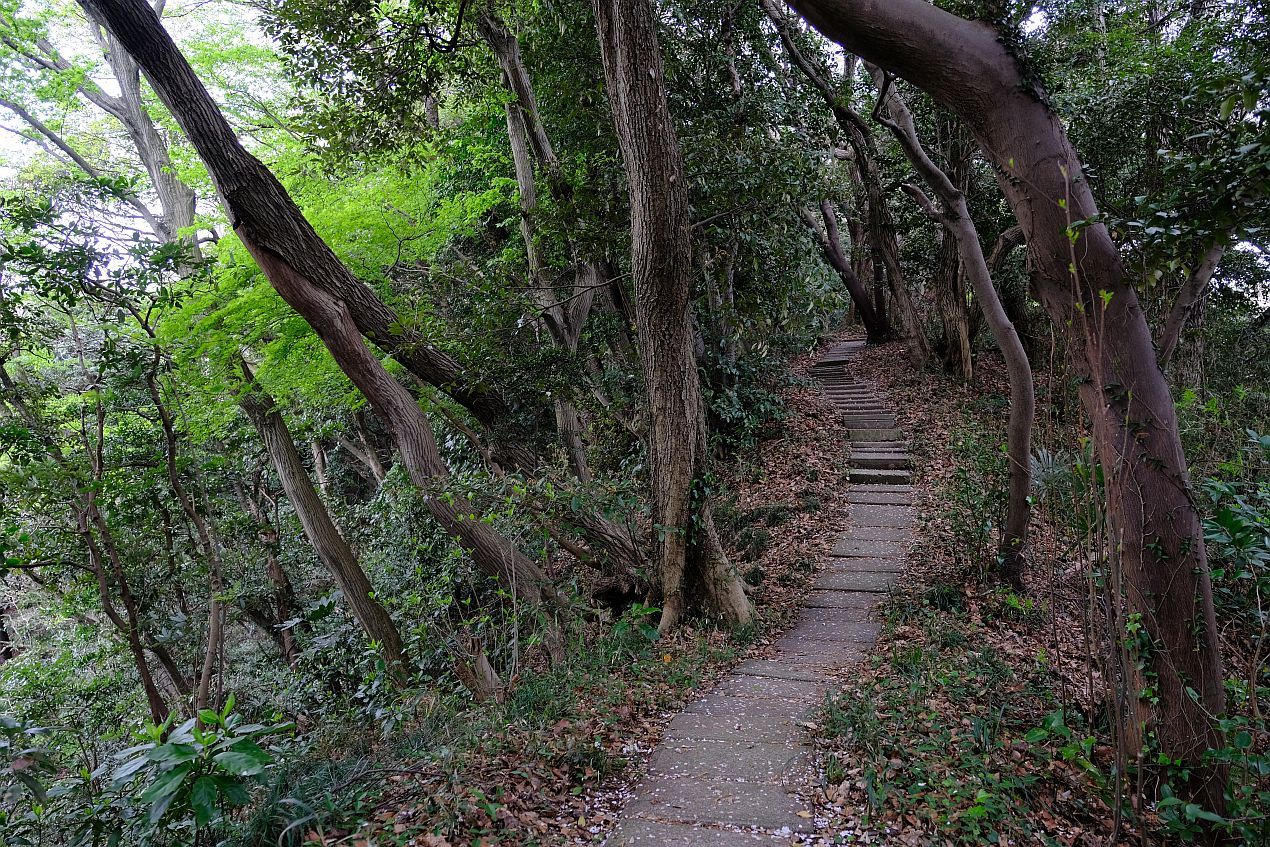 b0212342_11515640.jpg