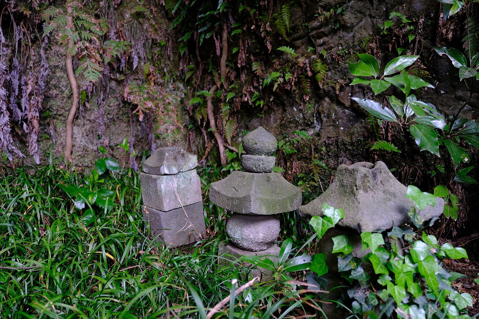 b0212342_11554314.jpg