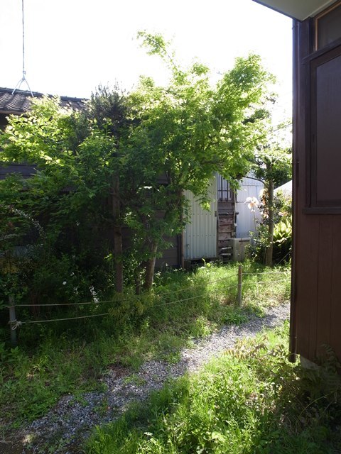 c0221644_14265523.jpg