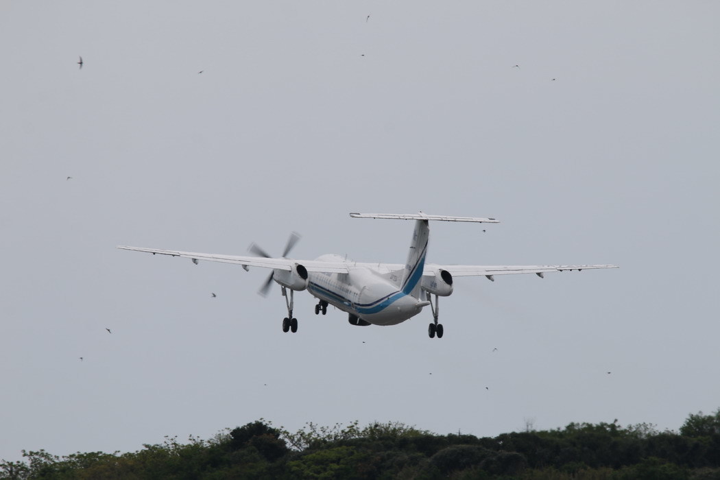 海上保安庁　DHC-8-300　『みずなぎ』_e0128144_07000320.jpg