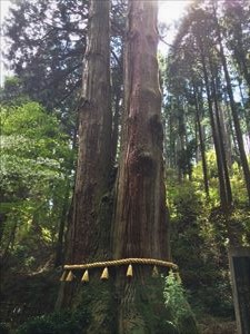 御岩神社に参拝_d0082655_17242514.jpg