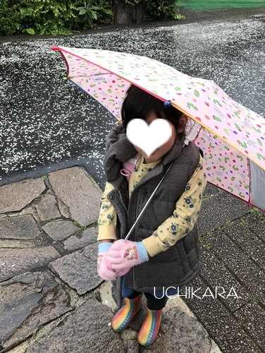 イライラしてもへこんでも_a0129661_11353135.jpg