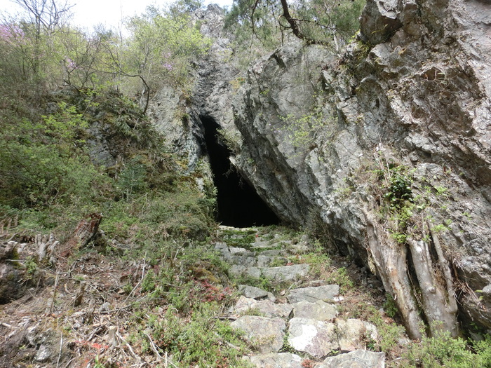 Ｎo464 兵庫篠山市・雨石山はヒカゲツツジ満開_b0185573_10231520.jpg