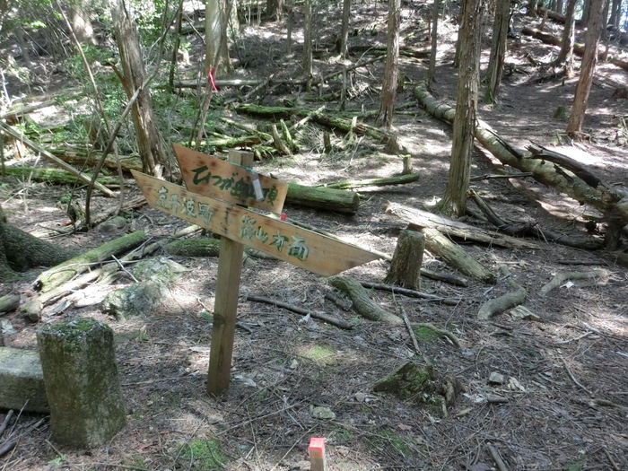 Ｎo464 兵庫篠山市・雨石山はヒカゲツツジ満開_b0185573_19421813.jpg