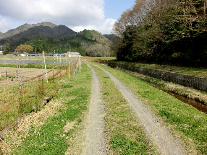 Ｎo464 兵庫篠山市・雨石山はヒカゲツツジ満開_b0185573_64454.jpg