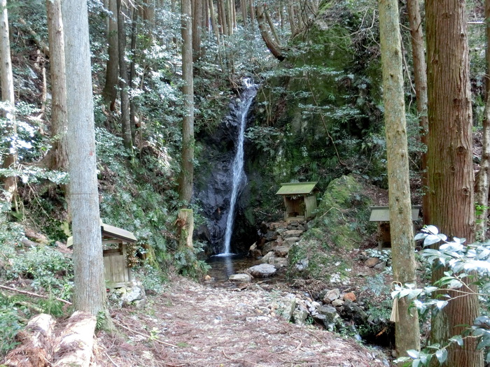 Ｎo464 兵庫篠山市・雨石山はヒカゲツツジ満開_b0185573_732451.jpg