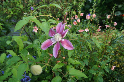 e0181373_21033533.jpg