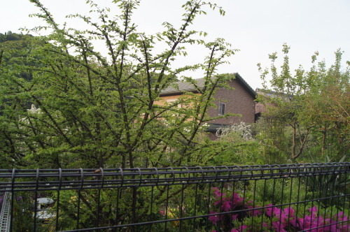 e0181373_21034313.jpg