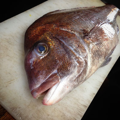 海の食材が楽しいです!_f0054977_19525370.jpg
