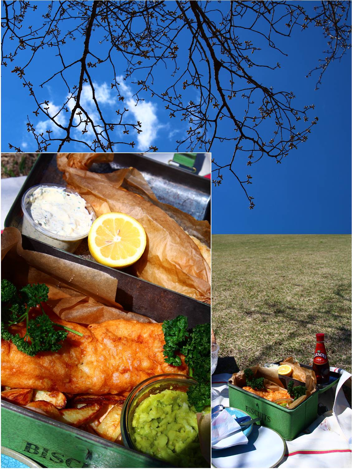 Fish and Chips ピクニック_a0107981_13485849.jpg