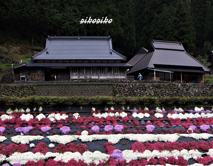 芝桜のある風景_e0353681_23561970.jpg