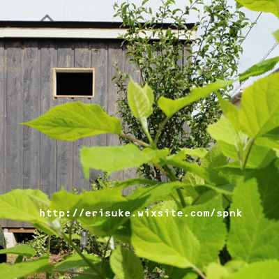 小屋に窓を作るの巻_c0224982_14273709.jpg