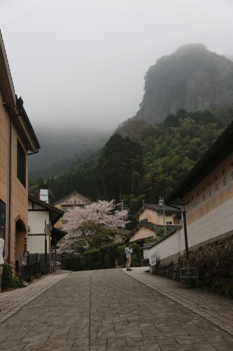 2017 桜　４月９日　 大川内山の桜　 _a0344383_22382231.jpg