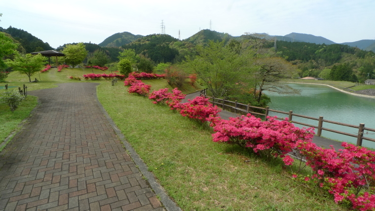 鬼北町～宇和島市～宿毛市日平公園　車中泊38日目_c0212083_23064984.jpg