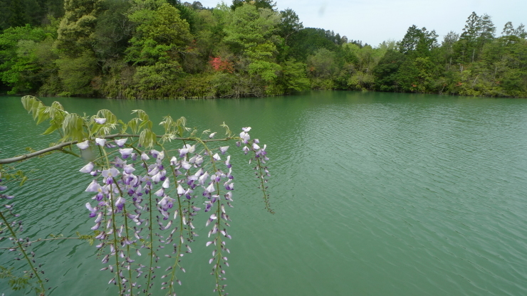 鬼北町～宇和島市～宿毛市日平公園　車中泊38日目_c0212083_23073553.jpg