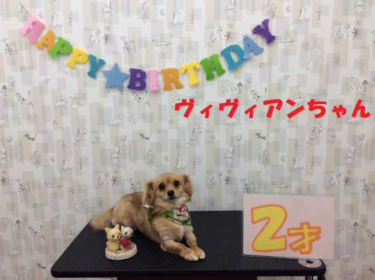 c0315684_15504134.png