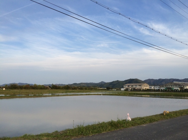 f0379286_20060177.jpeg
