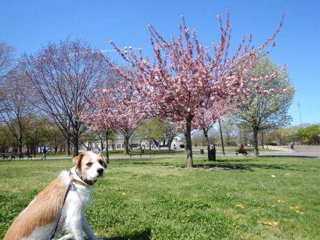c0253487_00553641.jpg