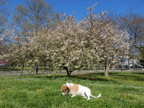 c0253487_02012790.jpg