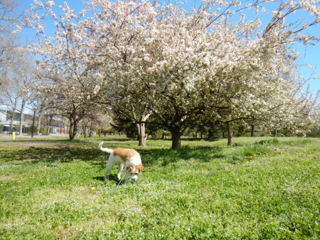 c0253487_02112293.jpg