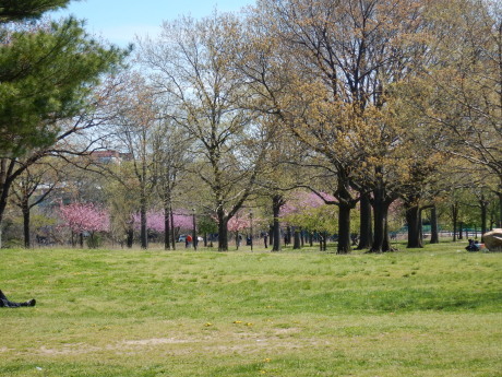 c0253487_03235825.jpg