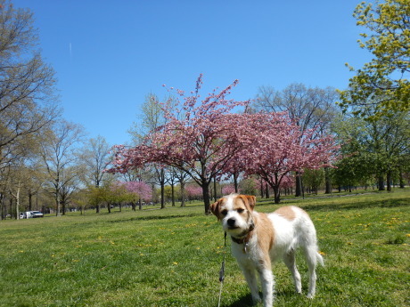 c0253487_03303334.jpg
