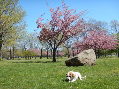 c0253487_03351439.jpg