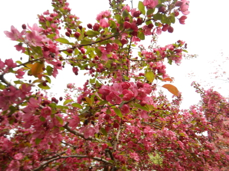 c0253487_05241262.jpg
