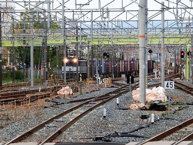 藤田八束の鉄道写真@貨物列車の写真・・・・東海道本線岸辺駅、新大阪駅で撮影、桃太郎とEF65_d0181492_18381802.jpg