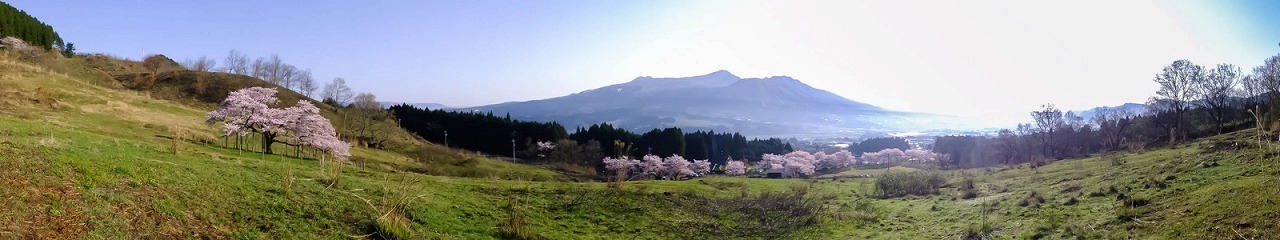 e0176993_06442310.jpg