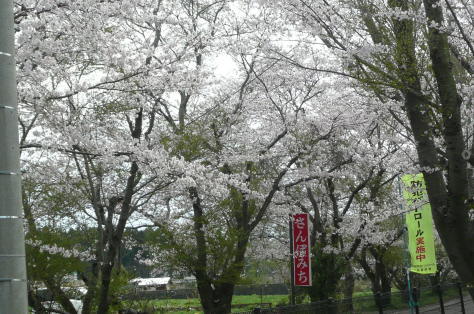 2017年5月1日　沖縄県立工業高等学校関東地区第15回同窓会総会　　その7_d0249595_15483284.jpg