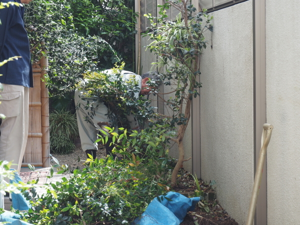 尼崎市　Aさまのお庭造園の様子です_e0232798_21051274.jpg