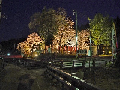 千手院の夜桜！_c0336902_19474036.jpg