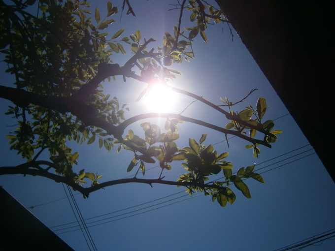 d0360403_18043147.jpg