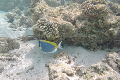 e0338303_12273467.jpg