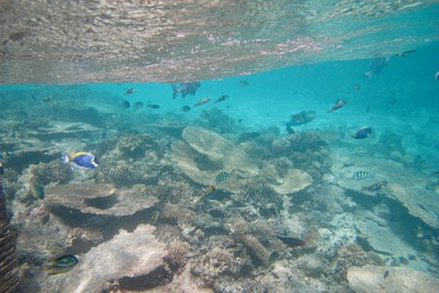 e0338303_12282157.jpg