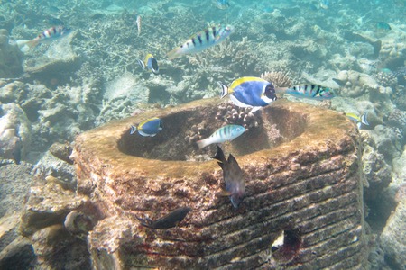 e0338303_12285310.jpg