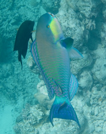 e0338303_12292220.jpg