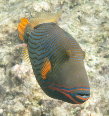 e0338303_122953100.jpg