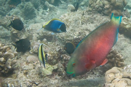e0338303_12301717.jpg