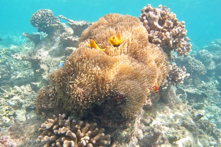 e0338303_12384140.jpg