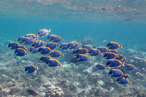 e0338303_1242342.jpg