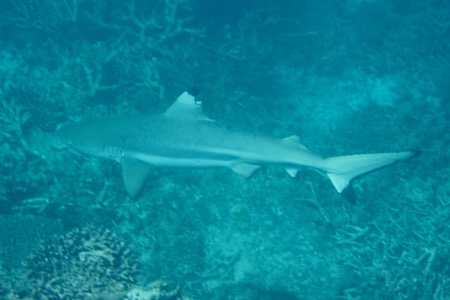 e0338303_12452739.jpg