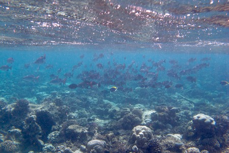 e0338303_12521284.jpg