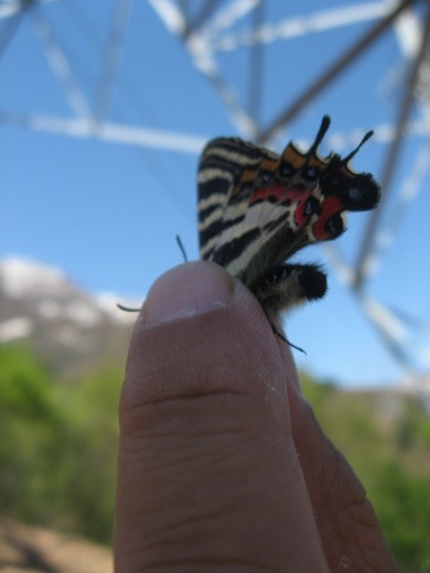 c0062511_22164219.jpg