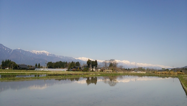 b0113219_10354902.jpg