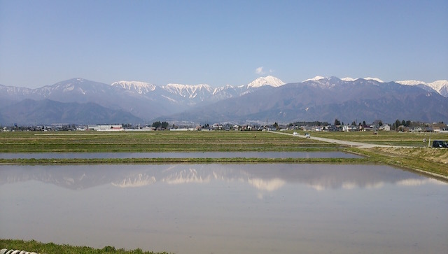 b0113219_10354968.jpg