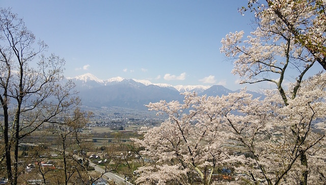 b0113219_11013723.jpg