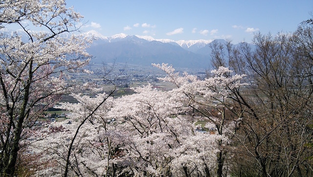 b0113219_11013754.jpg